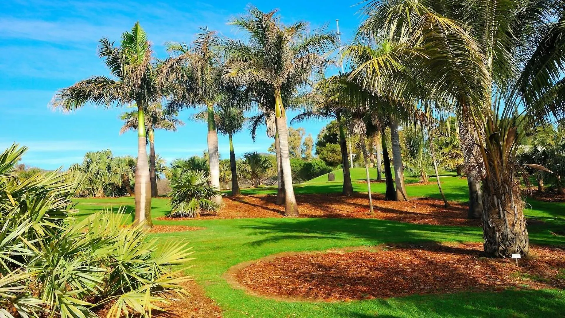 בנאלמדנה Jupiter Beach & Pool דירה